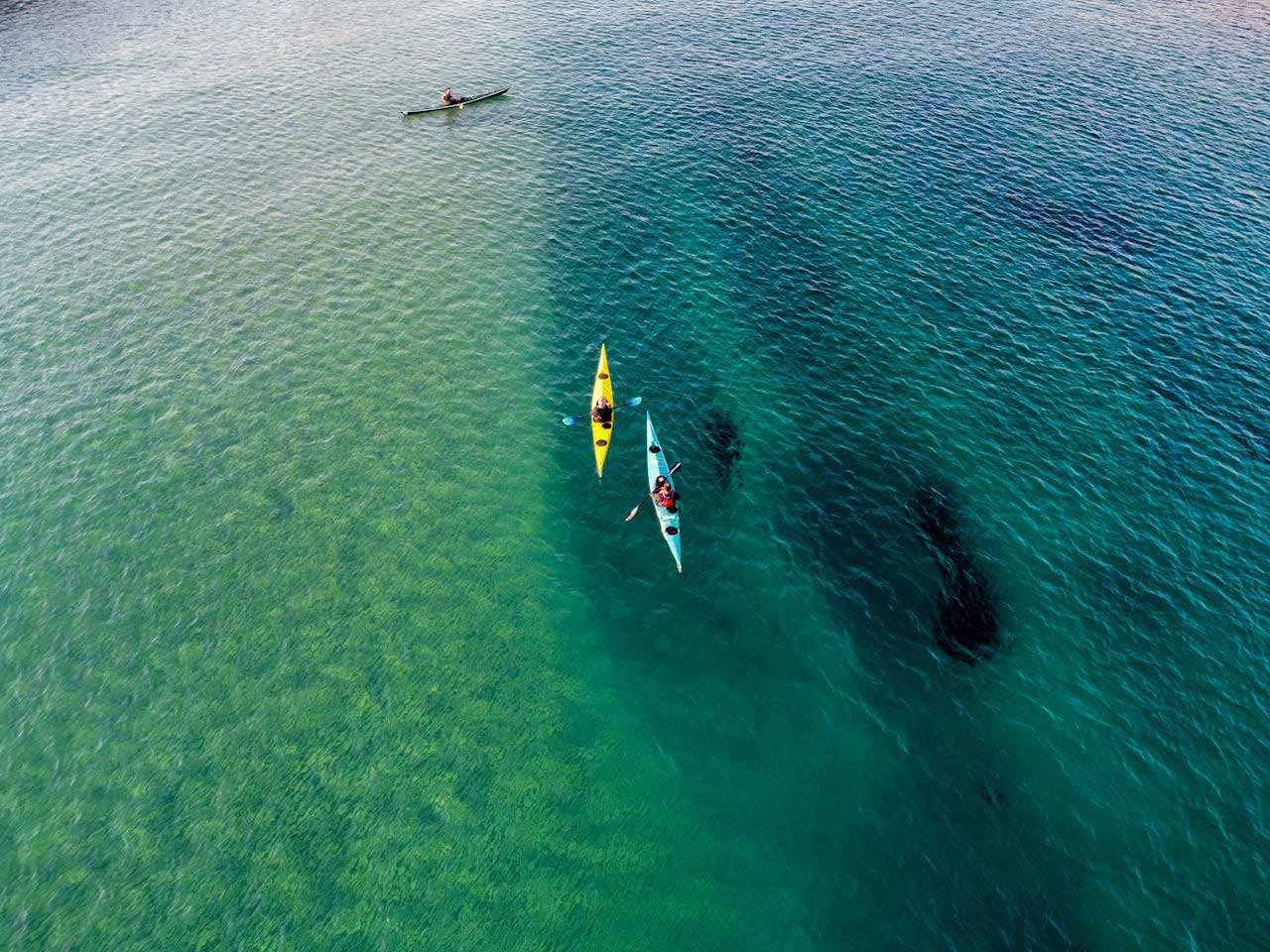 clear bottom kayaks San Diego